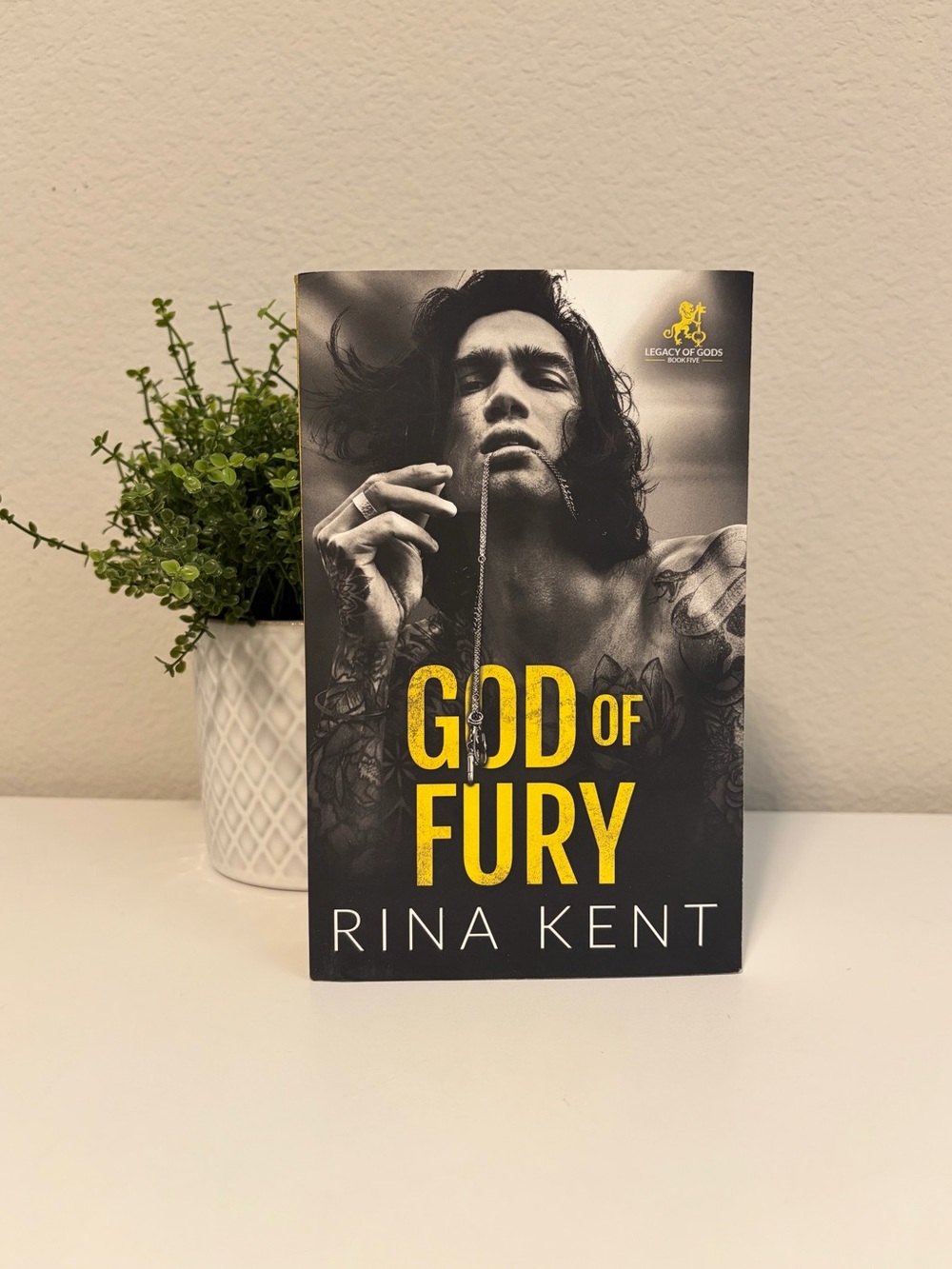 God of Fury by Rina Kent - OOP model cover